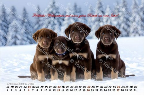Kalender Süße Hundewelpen 2026